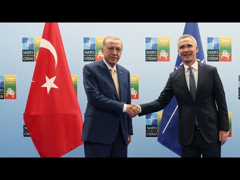 Otan : Erdogan d'accord pour soutenir l'adhésion de la Suède