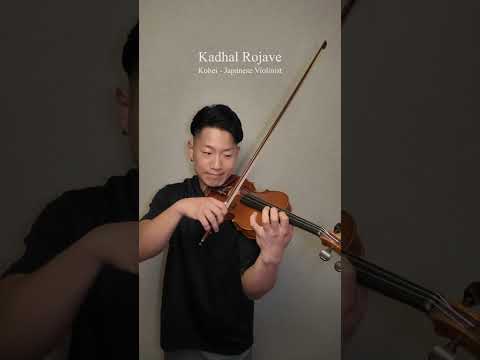 Kadhal Rojave | Violin Cover | Kohei - Japanese🇯🇵 Violinist🎻 #violin #arrahman