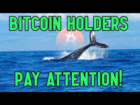 Bitcoin Whales are Accumulating NOW more than EVER!
