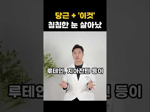 루테인 영양제와 당근 섭취의 차이점 및 눈 건강 관리법