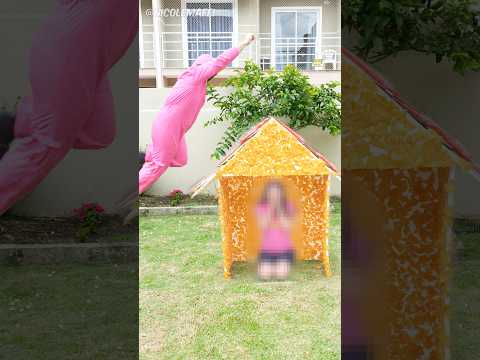 QUAL CASA VOCÊ VAI ESCOLHER?