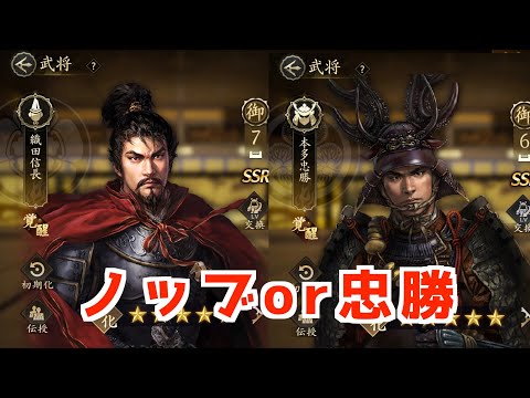 【信長の野望　天下への道】知略型ノッブと攻撃型忠勝、どちらが生き残るか？　最強編成雑談【ノブ天】