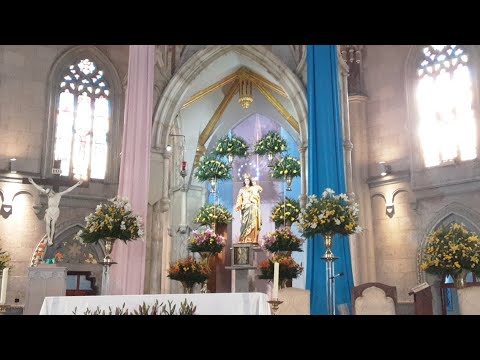 Santa Misa Séptimo Día Novena Maria Auxiliadora