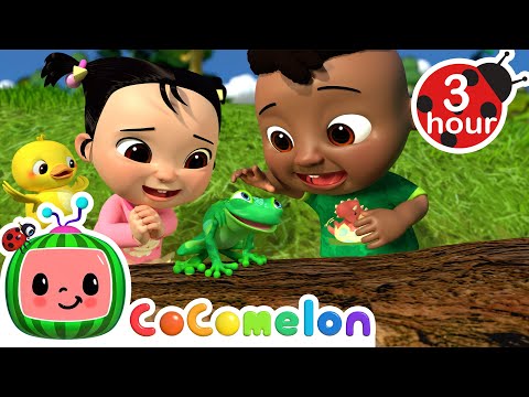 Cody and Cece Nature Walk Song | It's Cody Time 🍉 | CoComelon Songs for Kids & Nursery Rhymes