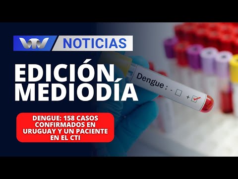 Edición Mediodía 26/03 | Dengue: 158 casos confirmados en Uruguay y un paciente en el CTI