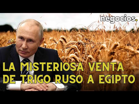 La misteriosa venta de trigo ruso a Egipto: ¿Por qué Putin le vende con descuento si le criticó?