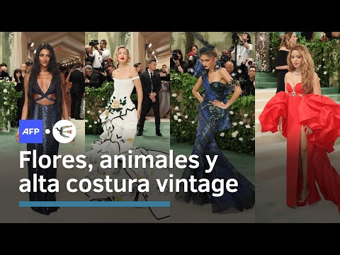 Extravagancia en la alfombra roja de la Gala del Met en Nueva York • Vía AFP Español