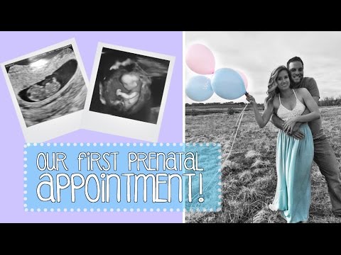 FIRST Prenatal Appointment! | Vlog #2