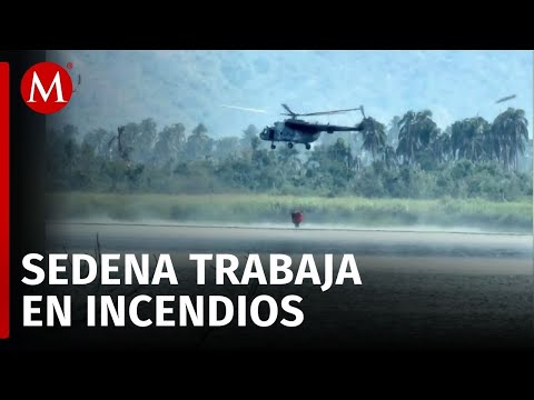Secretaría de la Defensa Nacional combate incendio en el Parque Nacional de Guerrero