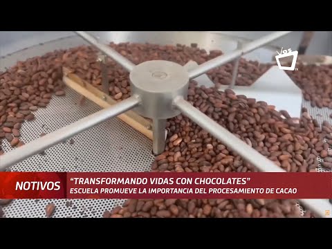 De una semilla de cacao a un buen chocolate