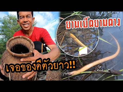 เบ็ดเหยื่อไส้เดือน-เจอของดีตัว เบ็ดเหยื่อไส้เดือน-เจอของดีตัว