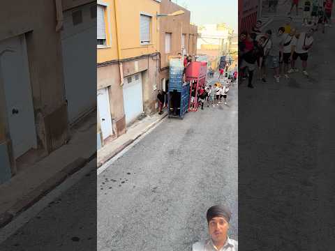 पिंजरे से बाहर आते ही बैल ने मचा दिया धमाल 🐂🔥#shots #saveanimals #bulls #ytshorts #animals #short