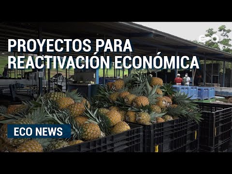 Zonas francas y las agroindustrias: la apuesta de reactivación económica del gobierno  | ECO News