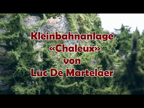 Spur N Modelleisenbahn: Wunderschöne digitale Kleinbahn-Anlage Chaleux von Luc De Martelaer
