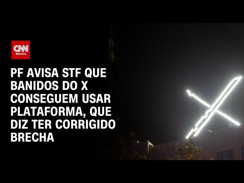 PF avisa STF que banidos do X conseguem usar plataforma, que diz ter corrigido brecha | NOVO DIA