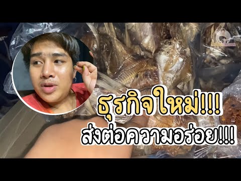 เปิด-ธุรกิจใหม่-ผึ้งน้อยขายทุก เปิด-ธุรกิจใหม่-ผึ้งน้อยขายทุก