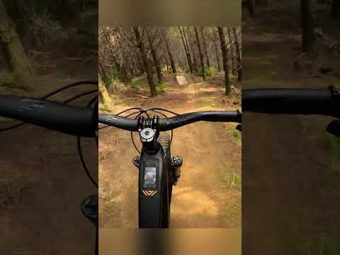testing the VELDURO ROGUE at Woodhill NZ #emtb #woodhill