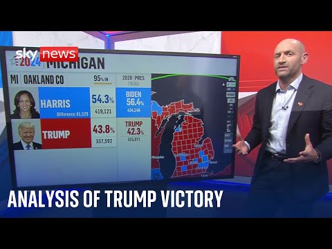 How demographic change and key topics contributed to Trump's victory | US Election