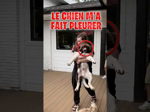 CLIQUEZ SUR LE SON 😭🙏