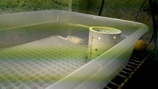 kind reasoned aquaponics diy click over here now