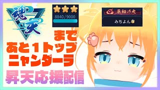 【 #雀魂 】絶対に魂天になりたい肉球猫の本気の段位戦、ワントップ条件