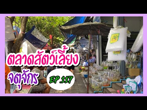 Zing’s-Day-I-ตะลุยสัตว์เลี้ยงจ Zing’s-Day-I-ตะลุยสัตว์เลี้ยงจ
