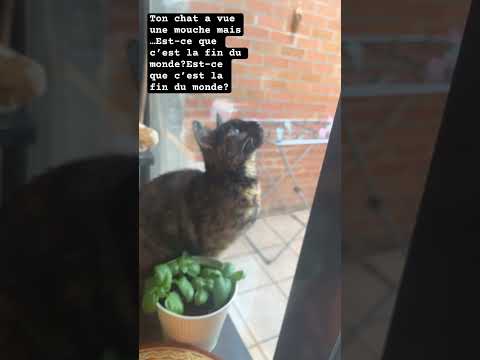 Est-ce que c’est la fin du monde?