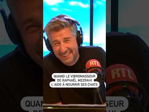 Quand le vibromasseur de Raphaël Mezrahi l'aide à nourrir ses chats