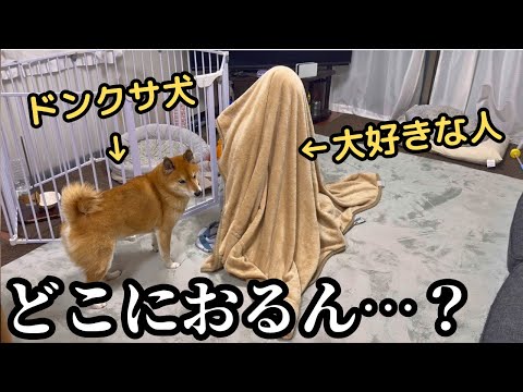 大好きな人がリビングに突然登場！驚きのかくれんぼドッキリ動画 サムネイル