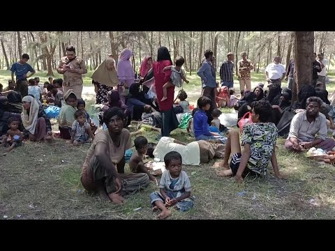Boat carrying 131 Rohingya lands in Aceh, mostly women and children
