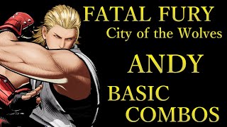 餓狼伝説 CotW アンディ 基本 コンボ【 FATAL FURY CotW ANDY BASIC COMBOS 】