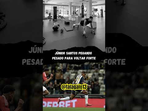 image para ilustrar o artigo