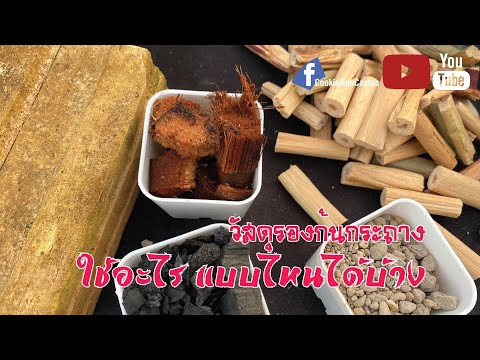 🌵วัสดุรองก้นกระถาง-ใช้อะไร-แบบ 🌵วัสดุรองก้นกระถาง-ใช้อะไร-แบบ