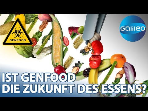 Genfood: Unkalkulierbares Risiko oder Werkzeug für bessere Ernährung? | Galileo | ProSieben