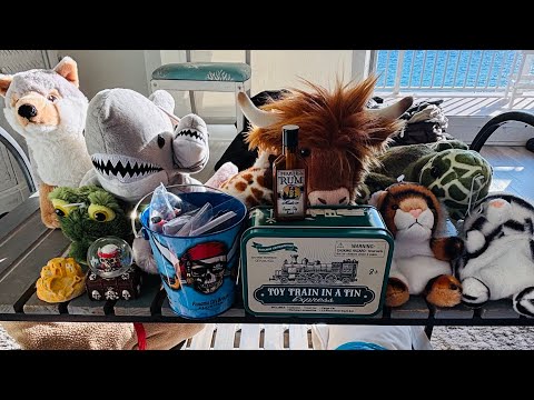 LOTS OF SOUVENIRS FROM FLORIDA #countrydiggers #souvenirs #panamacitybeachflorida 