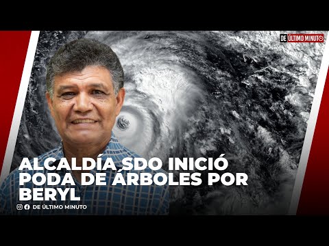 FRANCISCO PEÑA HA INICIADO LA PODA DE ÁRBOLES POR HURACÁN BERYL