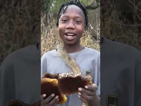 Hadzabe Tribe bushmen Peketha favorite snack in traditional lifestyle in the bush 🥰