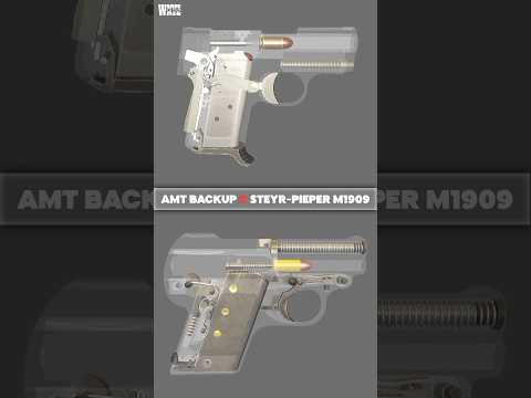 Mini pistol: AMT Backup x Steyr M1909