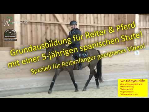 F204 5-jährige spanische Stute. Info für Reiter und Reitanfänger. Übergänge und Einwirkung am Pferd.