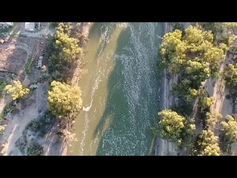 Αυστραλία: Μυστήριο με εκατομμύρια νεκρά ψάρια σε ποτάμι (βίντεο)