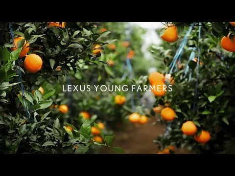 [렉서스] #감귤 영파머스 – LEXUS YOUNG FARMERS