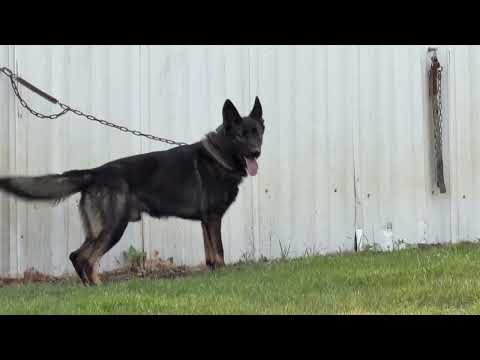 YouTube video thumbnail