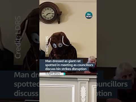 Man dressed as giant rat spotted in meeting as councillors discuss bin strikes #itvnews #shorts
