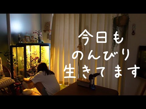 【療養vlog】ちょっとずつ元気になってきた日。