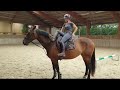 حصان القفز Equitation/ amateur very brave horse