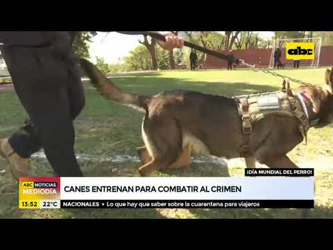 Canes entrenan para combatir el crimen