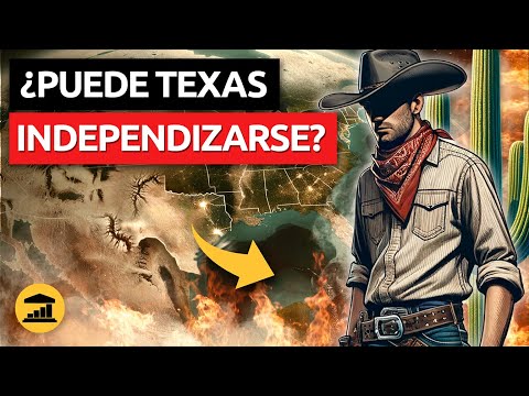 ¿Por qué TEXAS le ha declarado la GUERRA a WASHINGTON? - VisualPolitik