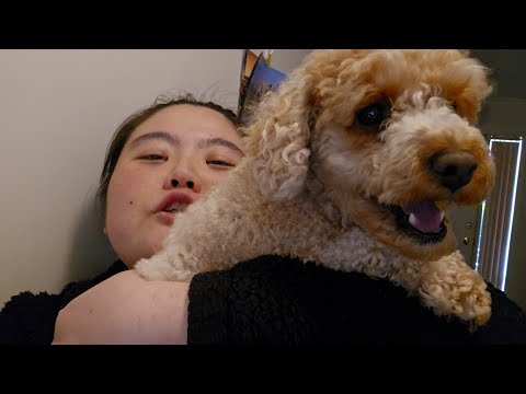 (KOREAN/SUB) What I eat in a day MUKBANG | KOREAN/SUB VLOG