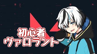 初ヴァロラント【さらり3、くまりす3、まっぽ3】