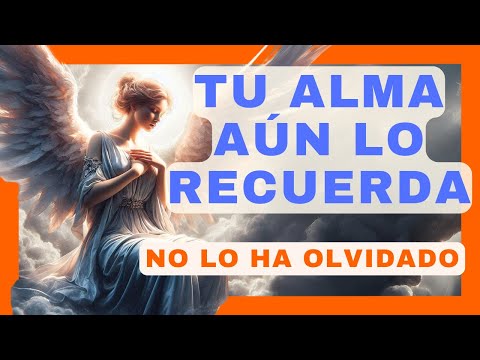 AÚN NO LO HA OLVIDADOMENSAJE de los ÁNGELES PARA TI - DIGEON - Arcángel Chamuel - E. VERTI